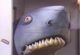landshark logo