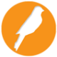 codex logo