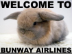 jintu logo
