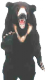 slothbear logo
