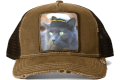 p_shep logo