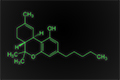 siulynot logo