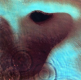 guesswho logo